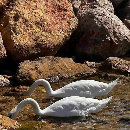 Palais 5min Luxury&cinema *